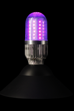 Ampoule lumière noire leds E27 12W