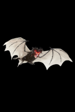 Chauve souris 89 cm avec yeux lumineux